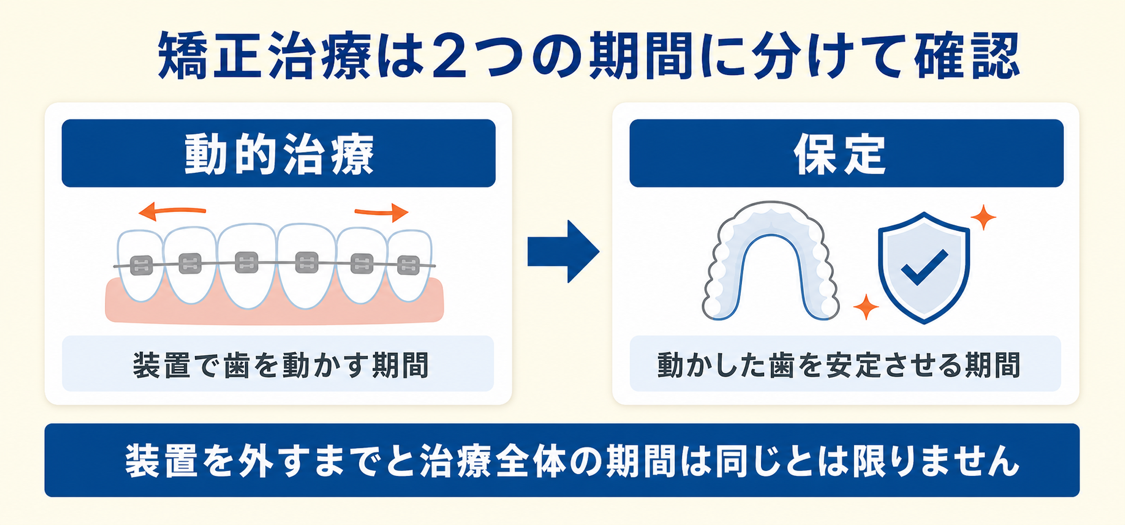 大人の歯列矯正を、装置で歯を動かす動的治療と、歯列を安定させる保定の2期間に分けて示した図解