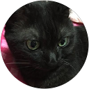 びわこ profile picture