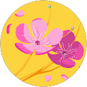 meiyou profile picture