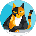 IT 62 profile picture