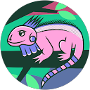 y n profile picture