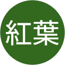 工藤紅葉 profile picture