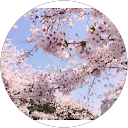SACHIKO KAZAMA profile picture