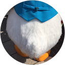 5りん profile picture