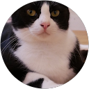 みりん profile picture