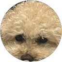 はにはに profile picture