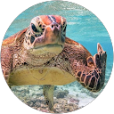 Shuji Kikuchi profile picture