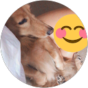 ニラネギ profile picture