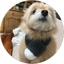 yuri nakagawa profile picture