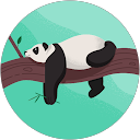 こんぺいとう profile picture