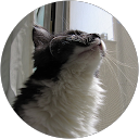 Manabu Nobuta profile picture