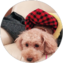 1025 jijicoco profile picture
