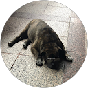 pino kino profile picture
