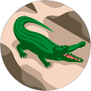 岩間愛 profile picture