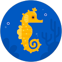 y h profile picture