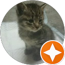 猫猫 profile picture