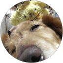 みゅん profile picture