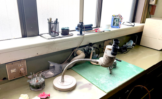 津野歯科医院のメイン画像3