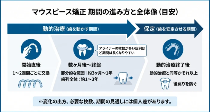 マウスピース矯正の期間と変化の進み方|時系列でみる全体像
